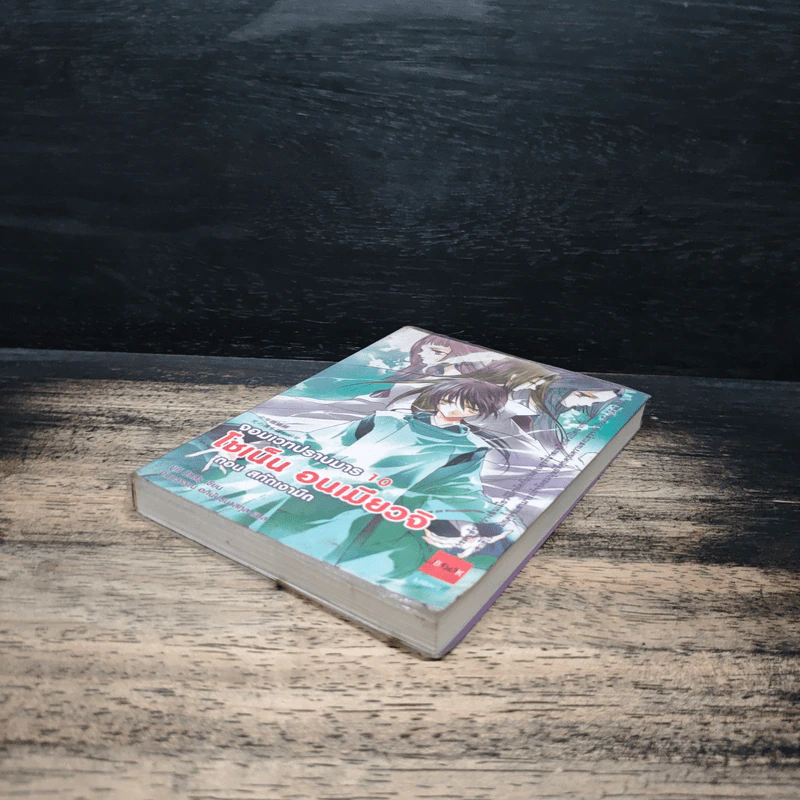 โชเน็น อนเมียวจิ จอมเวทปราบมาร เล่ม 10 รูปที่ 4