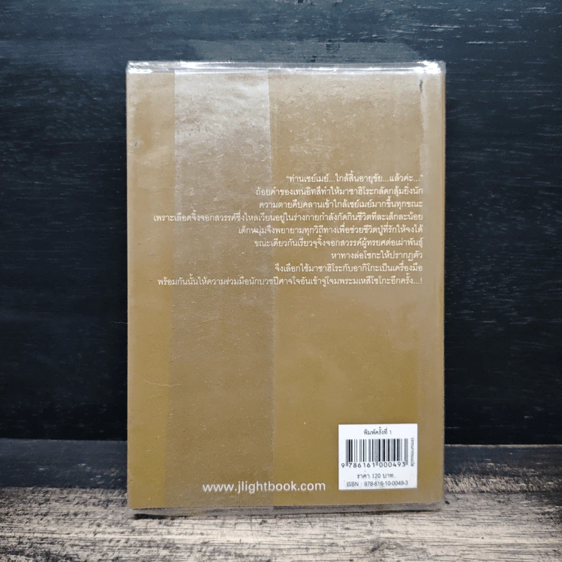 โชเน็น อนเมียวจิ จอมเวทปราบมาร เล่ม 11 ตอน สลายม่านบังตา รูปที่ 2