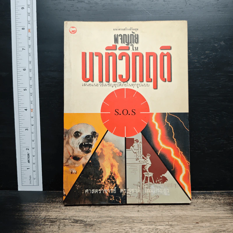 ผจญภัยในนาทีวิกฤติ - ศาสตราจารย์ ดร.สุชาติ โสมประยูร รูปที่ 1