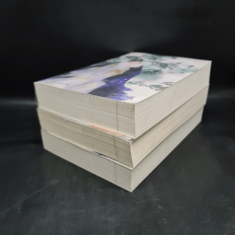 ฉู่หวังเฟย ชายาสองวิญญาณ เล่ม 2,3,4 - หนิงเอ๋อร์ รูปที่ 3