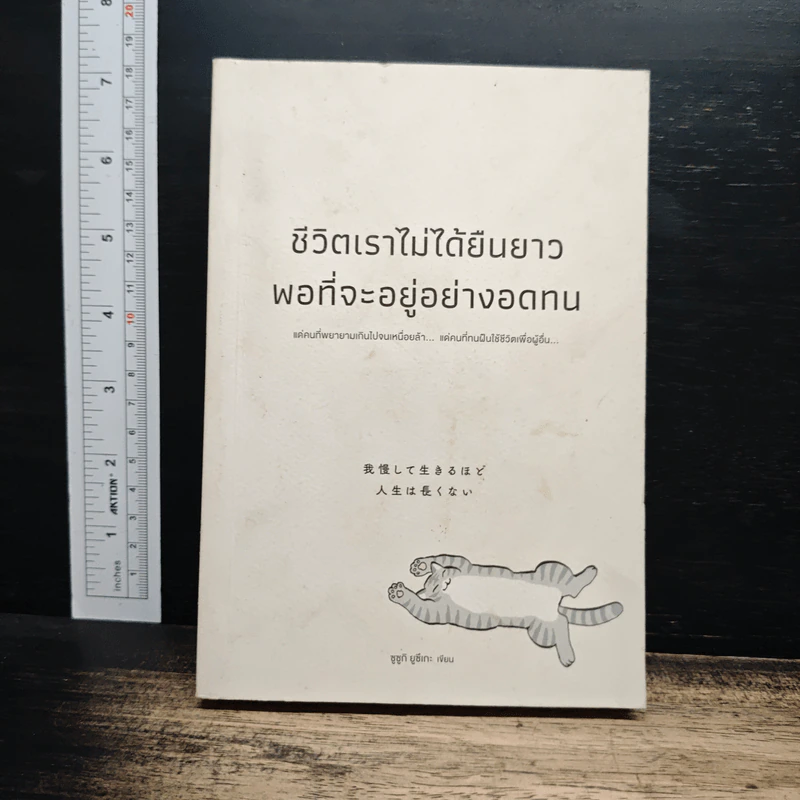 ชีวิตเราไม่ได้ยืนยาวพอที่จะอยู่อย่างอดทน - ซูซูกิ ยูซึเกะ รูปที่ 1