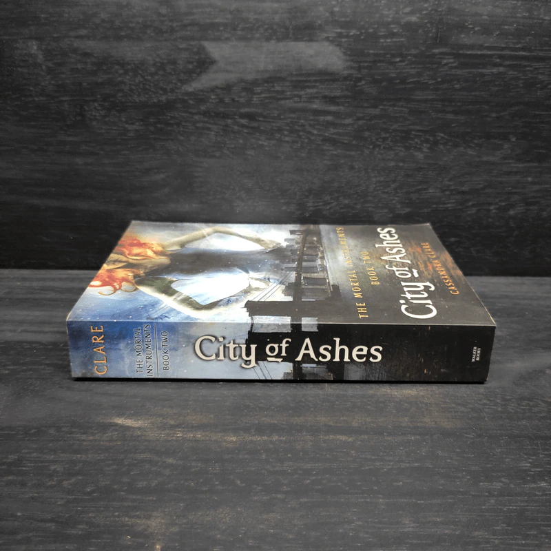 City of Ashes - Cassandra Clare รูปที่ 3