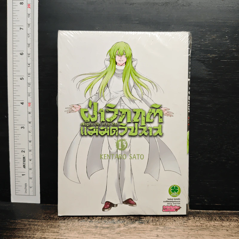 ฝ่าวิกฤติแม่มดวิปลาส เล่ม 13 รูปที่ 1