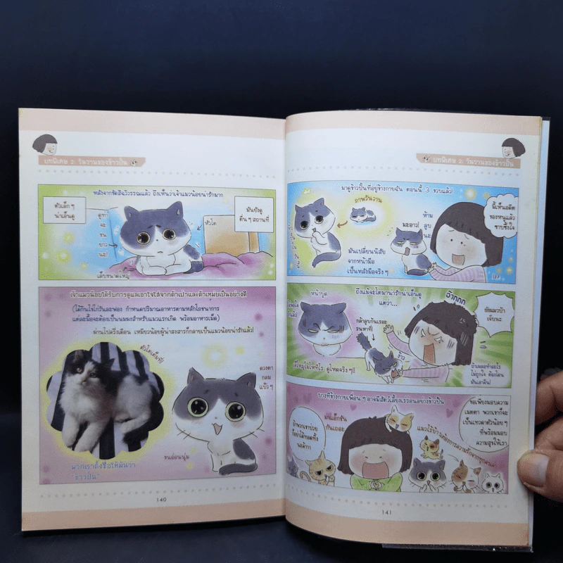 Cat Story เหมียวสุดฮาของเสี่ยวชี รูปที่ 13