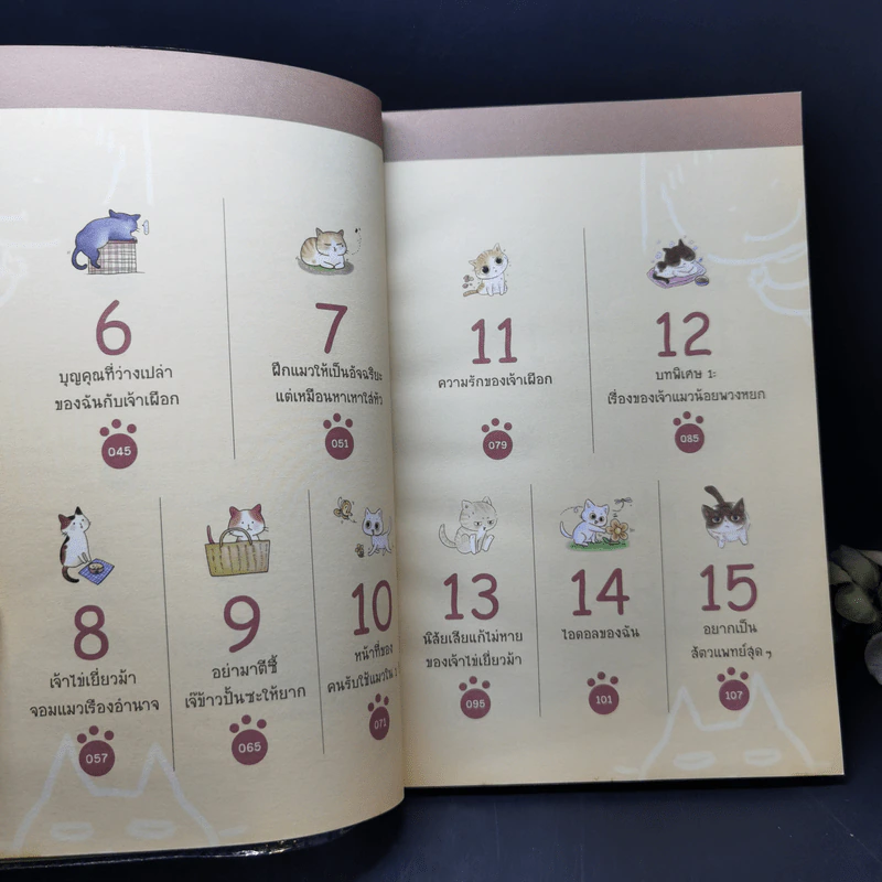 Cat Story เหมียวสุดฮาของเสี่ยวชี รูปที่ 11