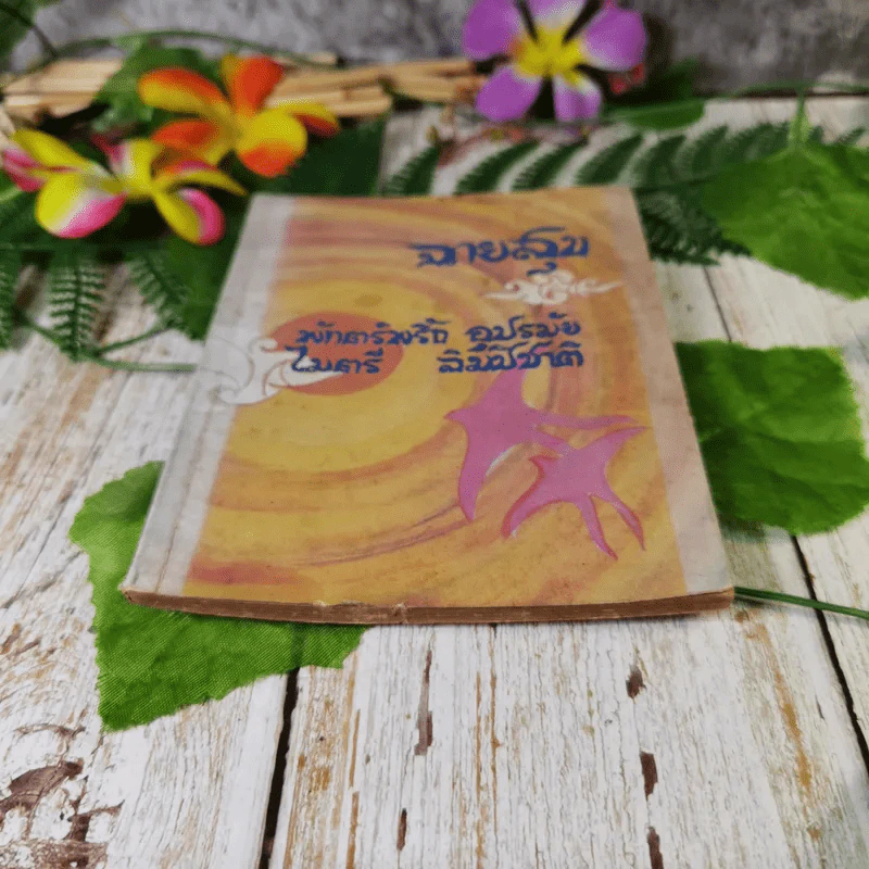 ฉายสุข 16 พฤษภาคม 2513 - พักตร์พริ้ง อุปรมัย, ไมตรี ลิมปิชาติ รูปที่ 4