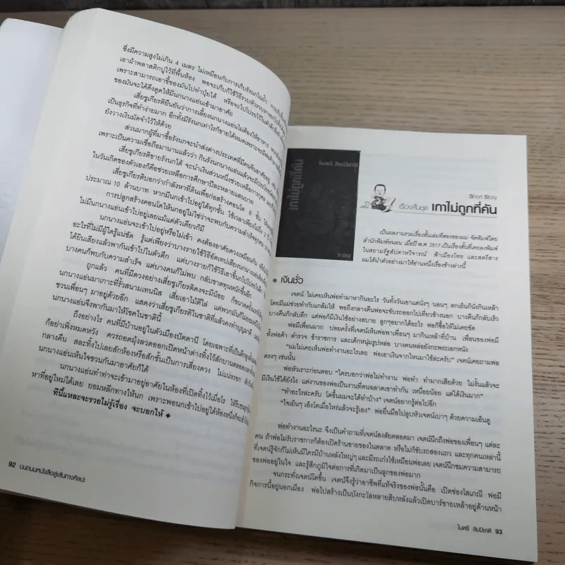 บนถนนหนังสือ สู่เส้นทางศิลปะ - ไมตรี ลิมปิชาติ รูปที่ 17