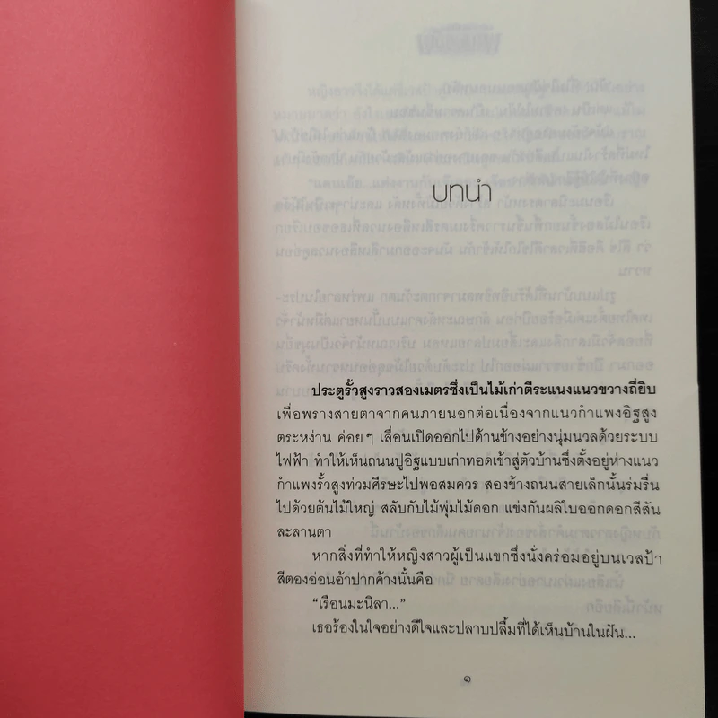พะนอขวัญ - ฬีฬา รูปที่ 6