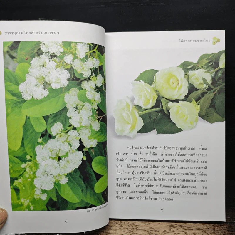 สารานุกรมไทยสำหรับเยาวชน ฉบับเสริมการเรียนรู้ เล่ม 1 รูปที่ 9