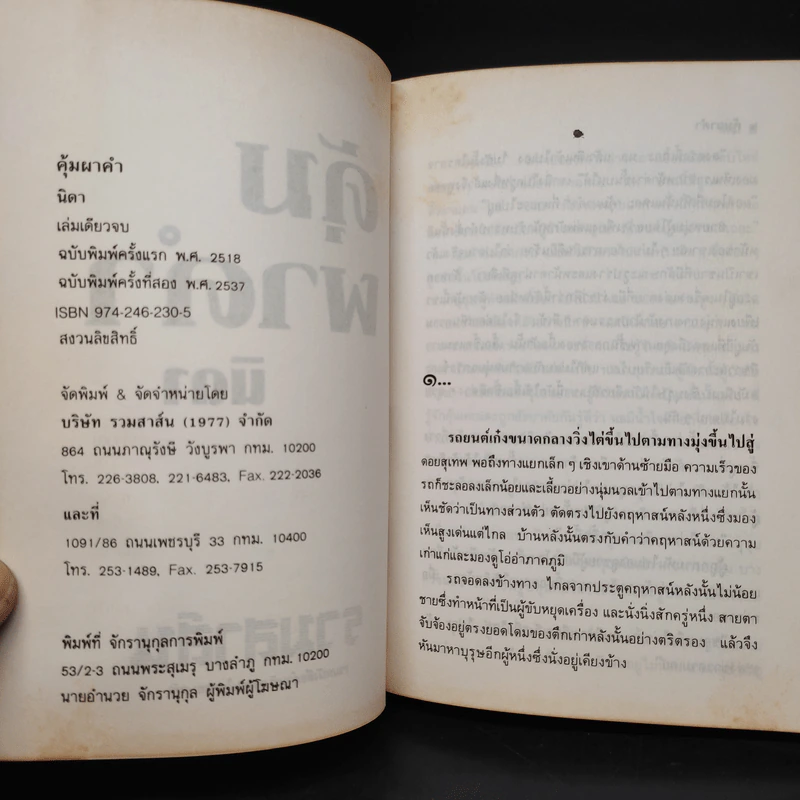 คุ้มผาคำ - นิดา รูปที่ 5