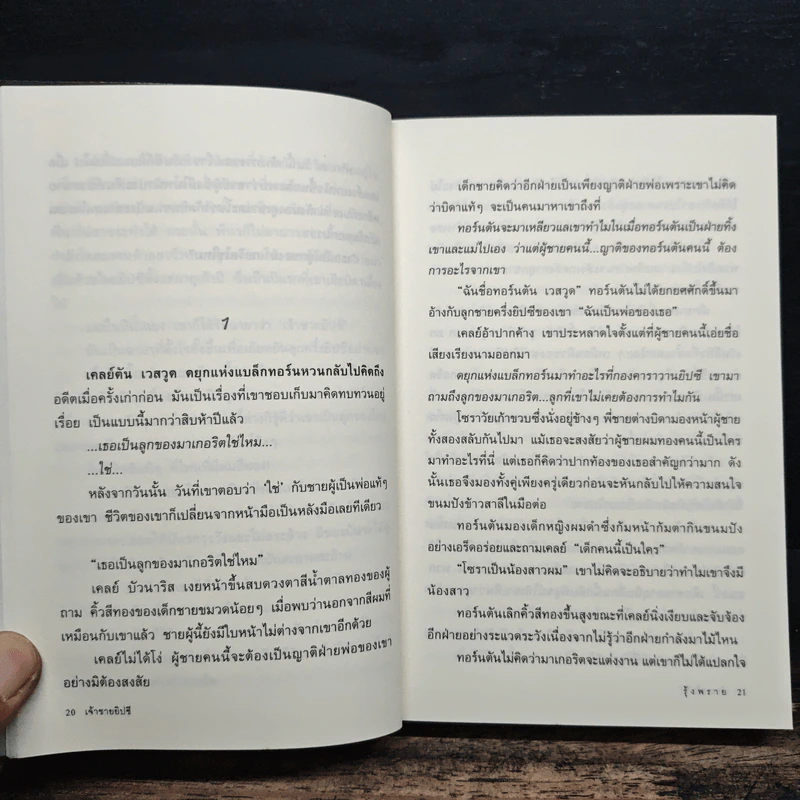 เจ้าชายยิปซี - รุ้งพราย รูปที่ 8