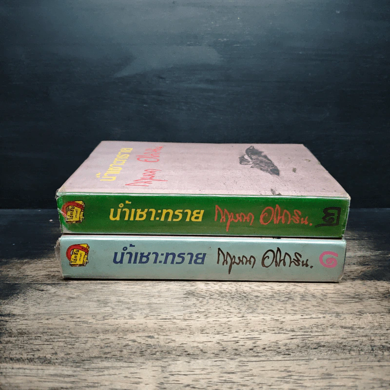น้ำเซาะทราย 2 เล่มจบ - กฤษณา อโศกสิน รูปที่ 3