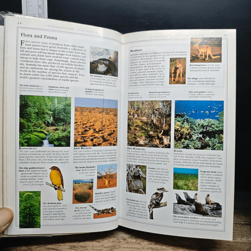 DK Eyewitness Travel Australia รูปที่ 11