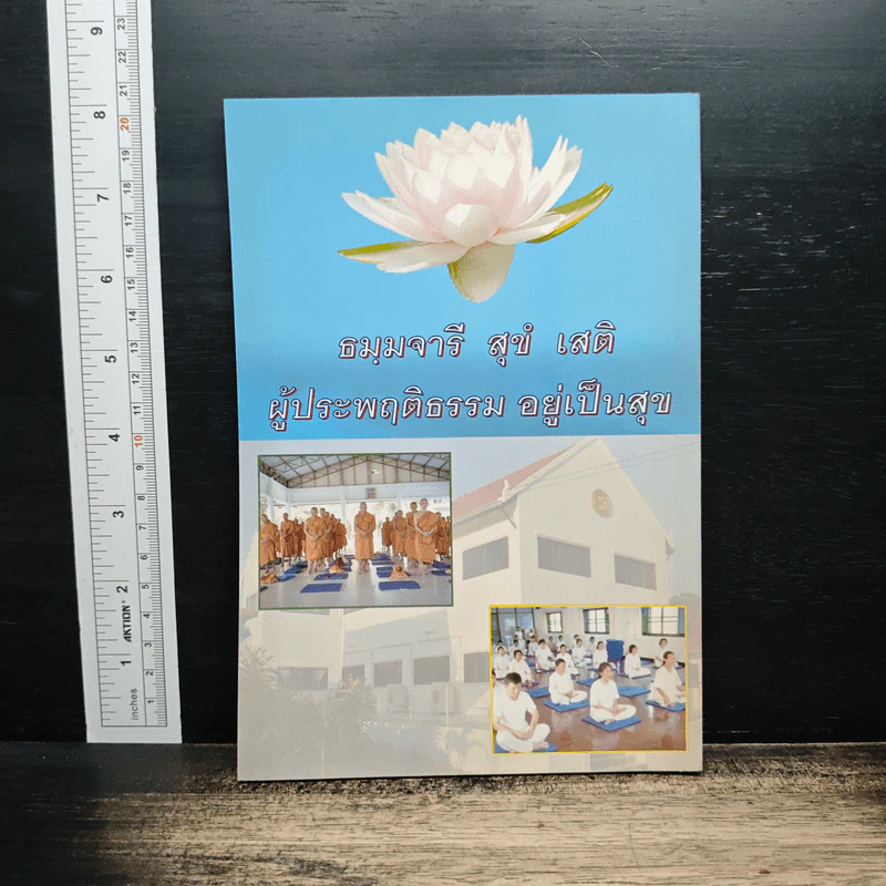 คู่มือการพัฒนาจิตตามแนวสติปัฏฐาน 4 - พระอธิการสมศักดิ์ โสรโท รูปที่ 2