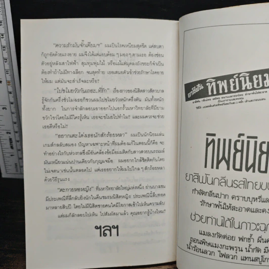 แผ่นดินนี้เราจอง - เทศภักดิ์ นิยมเหตุ รูปที่ 8
