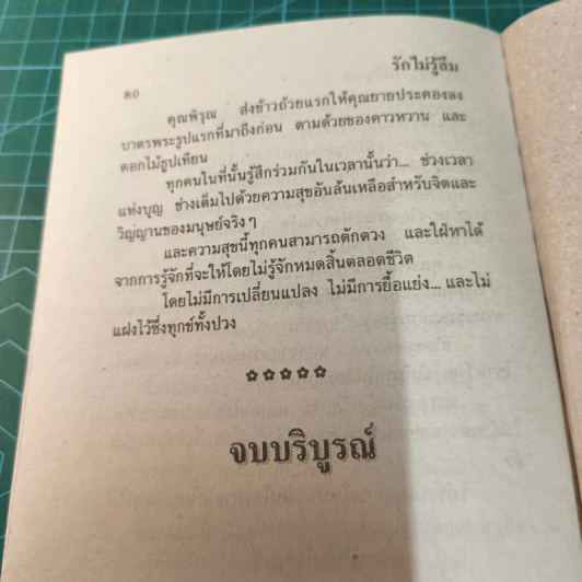 รักไม่รู้ลืม - นภาลัย ไผ่สีทอง รูปที่ 9