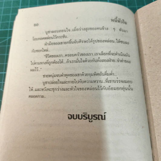 หนี้หัวใจ - นภาลัย ไผ่สีทอง รูปที่ 9