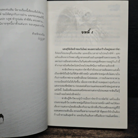 เหนือทรายใต้ตะวัน - bigger รูปที่ 7
