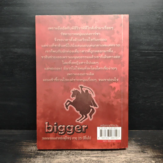 เหนือทรายใต้ตะวัน - bigger รูปที่ 2