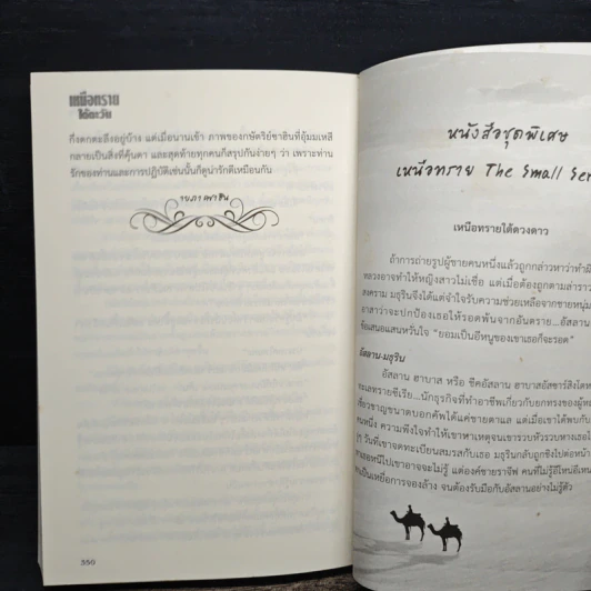 เหนือทรายใต้ตะวัน - bigger รูปที่ 8