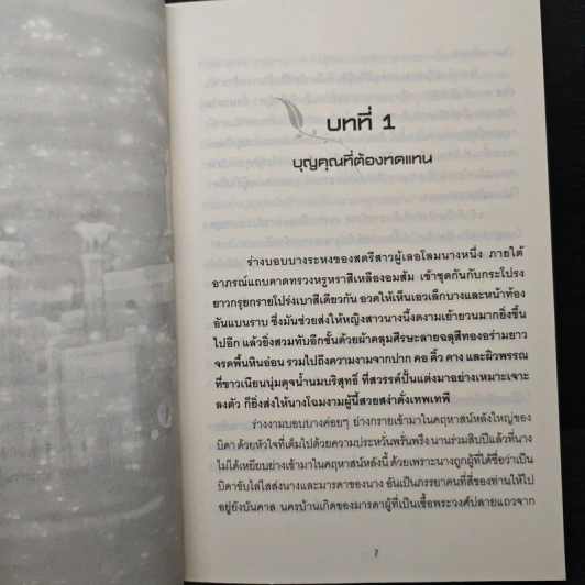 ชายานอกหัวใจ - มิ่งมาดา รูปที่ 7