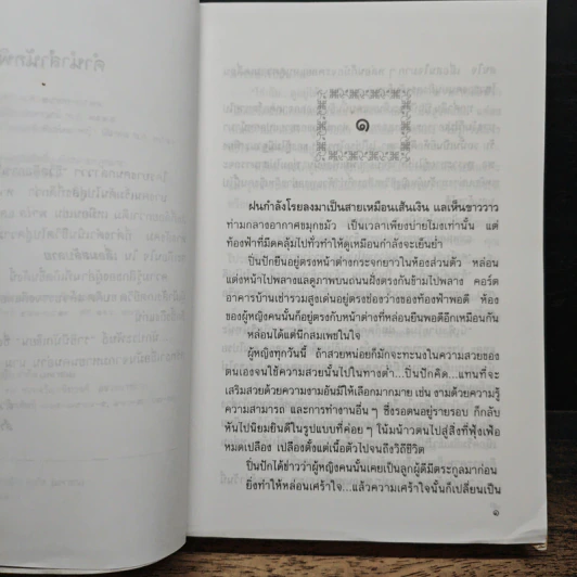 เลื่อมสลับลาย - กฤษณา อโศกสิน รูปที่ 7
