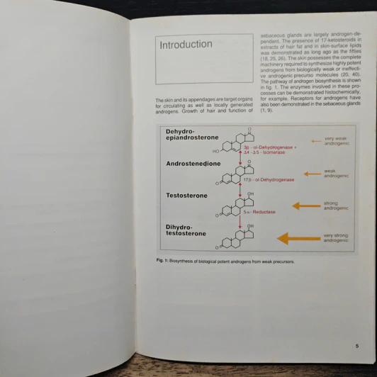 Cyproterone Acetate for the Treatment of Androgenisation - F. Neumann รูปที่ 7