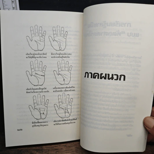 มือบอกชีวิต - ศ.ดุสิต รูปที่ 10