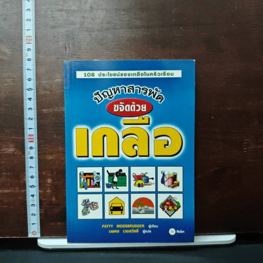 108 ประโยชน์ของเกลือในครัวเเรือน ปัญหาสารพัด ขจัดด้วยเกลือ - Patty Moosbrugger รูปที่ 1