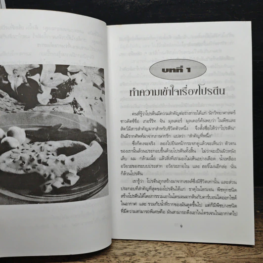 โปรตีนบำบัดโรค กินเนื้อ กินผัก กินอย่างไรได้ประโยชน์สูงสุด - ปาริชาติ สักกะทำนุ รูปที่ 7