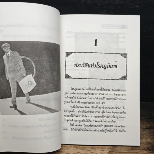 แพ้อากาศกับการรักษาตนเอง - นพ.ไพบูลย์ จาตุรปัญญา รูปที่ 8