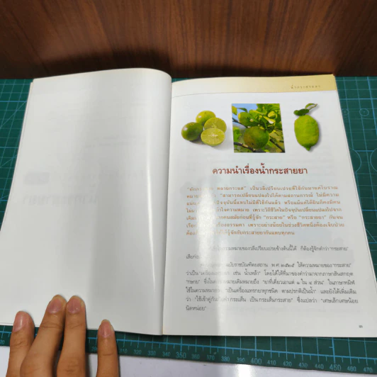 คู่มือเภสัชกรรมแผนไทย เล่ม 1-4 - ชยันต์ พิเชียรสุนทร, วิเชียร จีรวงส์ รูปที่ 7
