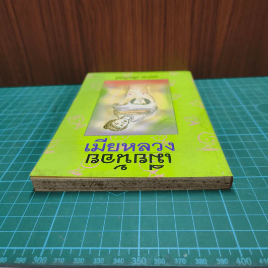 เมียน้อย-เมียหลวง - บุญร่วม เทียมจันทร์ รูปที่ 4