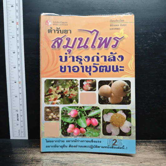 ตำรับยาสมุนไพรบำรุงกำลัง ยาอายุวัฒนะ รูปที่ 1