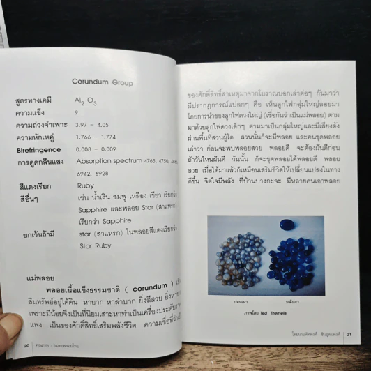 คุณภาพอมตะพลอยไทย - นายพัศพงศ์ ชินอุดมพงศ์ รูปที่ 9