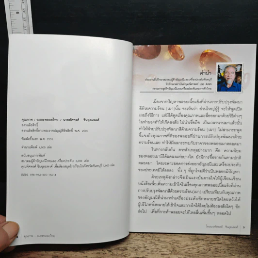 คุณภาพอมตะพลอยไทย - นายพัศพงศ์ ชินอุดมพงศ์ รูปที่ 6