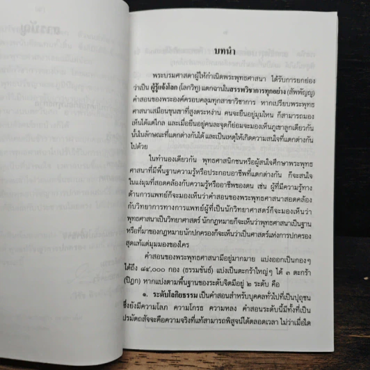 พุทธปรัชญา...การปกครอง - วิรัช ถิรพันธุ์เมธี รูปที่ 8