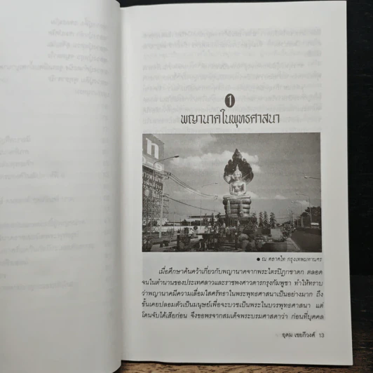 ตามรอยพญานาค - อุดม เชยกีวงศ์ รูปที่ 9