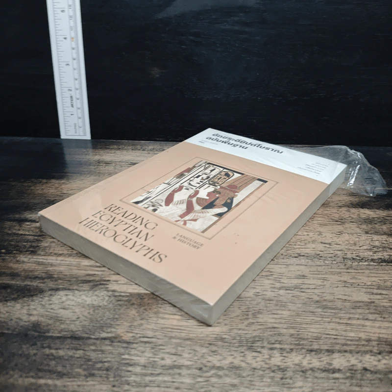 หนังสือ อักขระอียิปต์โบราณฉบับพื้นฐาน - ณัฐพล เดชขจร รูปที่ 4