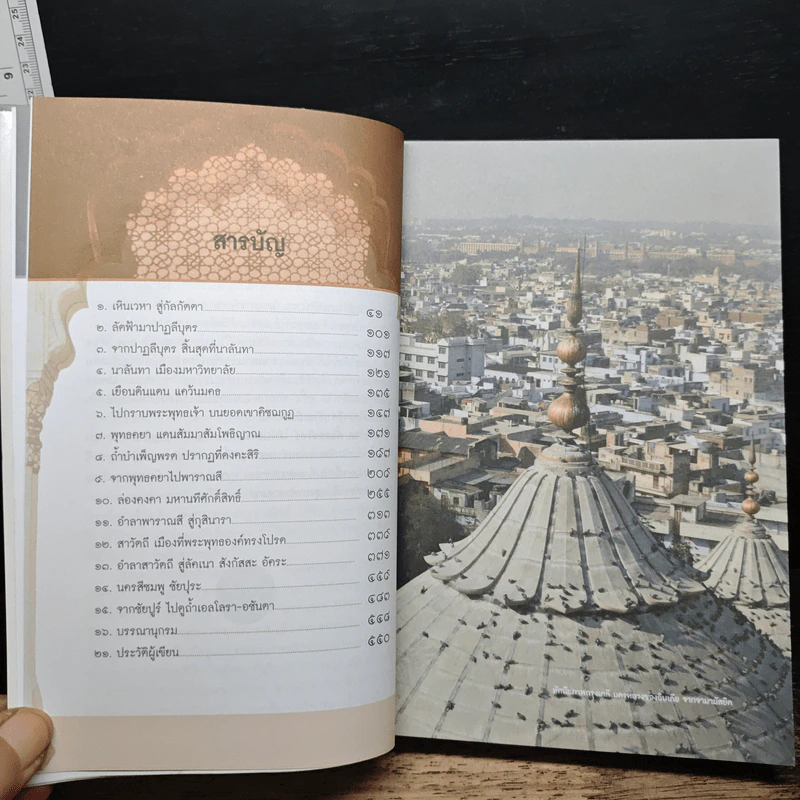 เยือนถิ่นอินเดีย - โกวิท ตั้งตรงจิตร รูปที่ 7