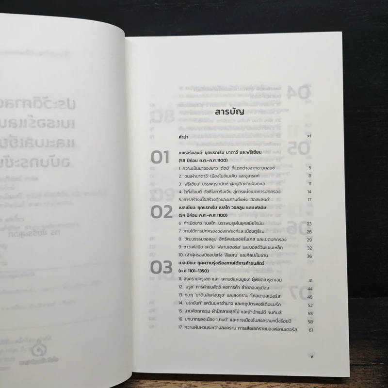 ประวัติศาสตร์เนเธอร์แลนด์และเบลเยียม ฉบับกระชับ รูปที่ 7