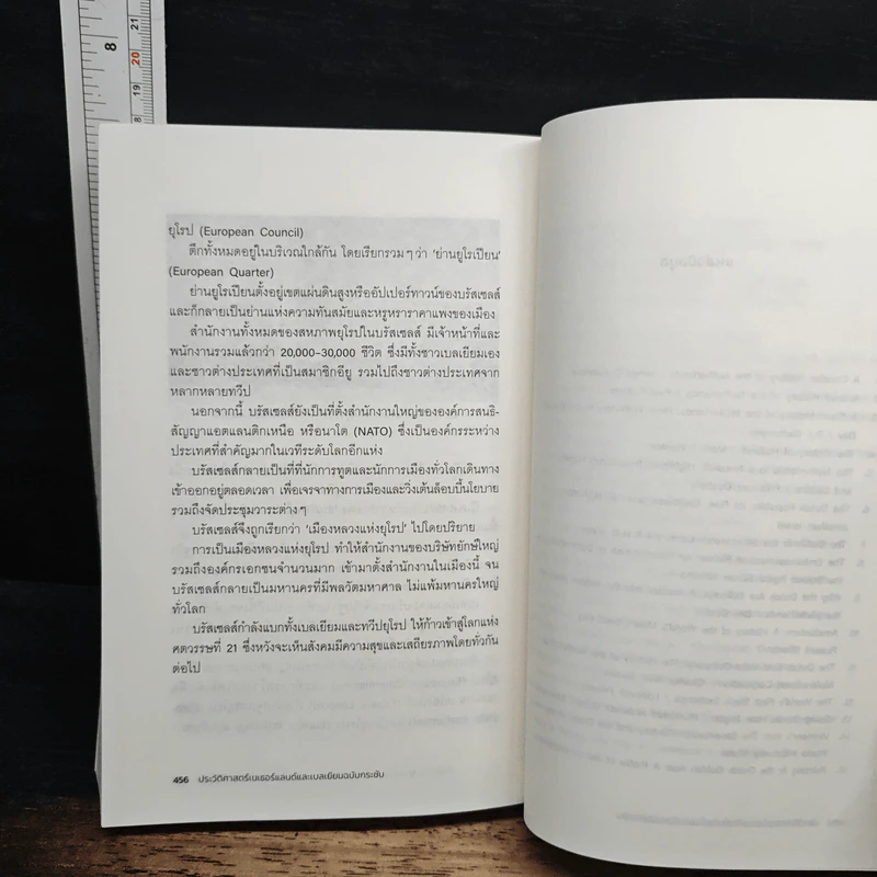 ประวัติศาสตร์เนเธอร์แลนด์และเบลเยียม ฉบับกระชับ รูปที่ 12