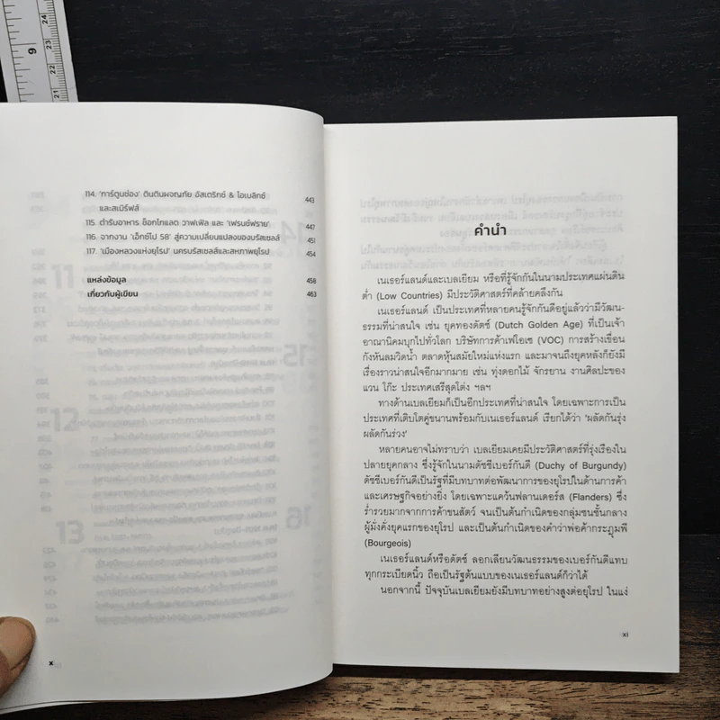 ประวัติศาสตร์เนเธอร์แลนด์และเบลเยียม ฉบับกระชับ รูปที่ 10