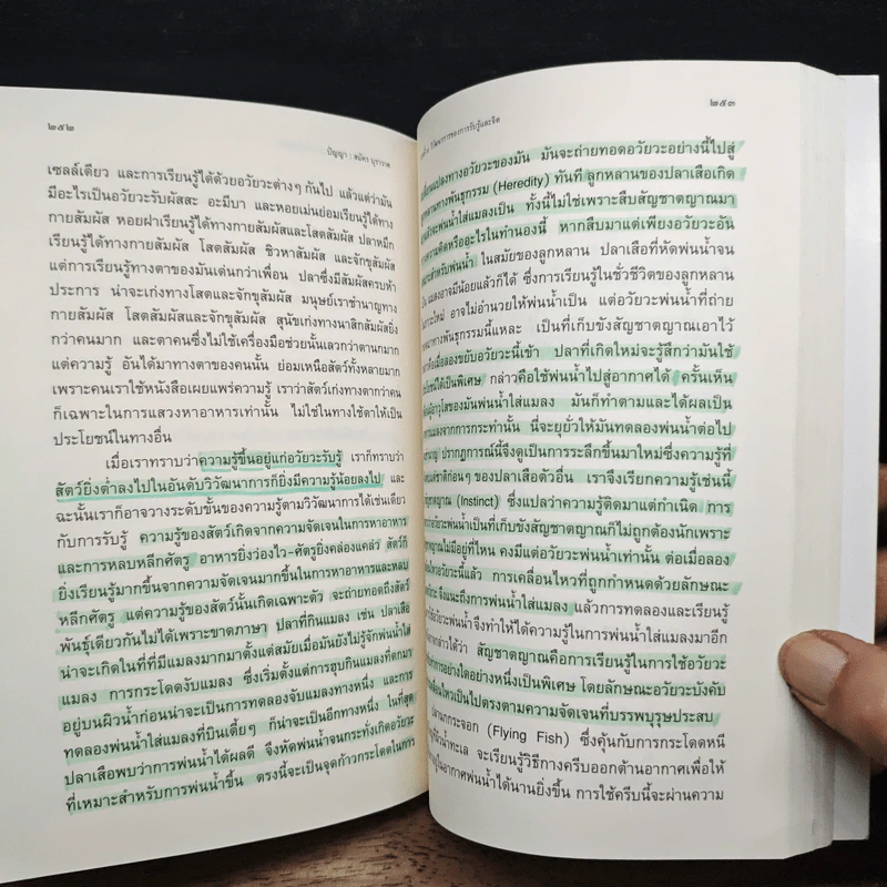 ปัญญา : จุดกำเนิดและกระบวนการพัฒนาทางปัญญาของมนุษยชาติ รูปที่ 13