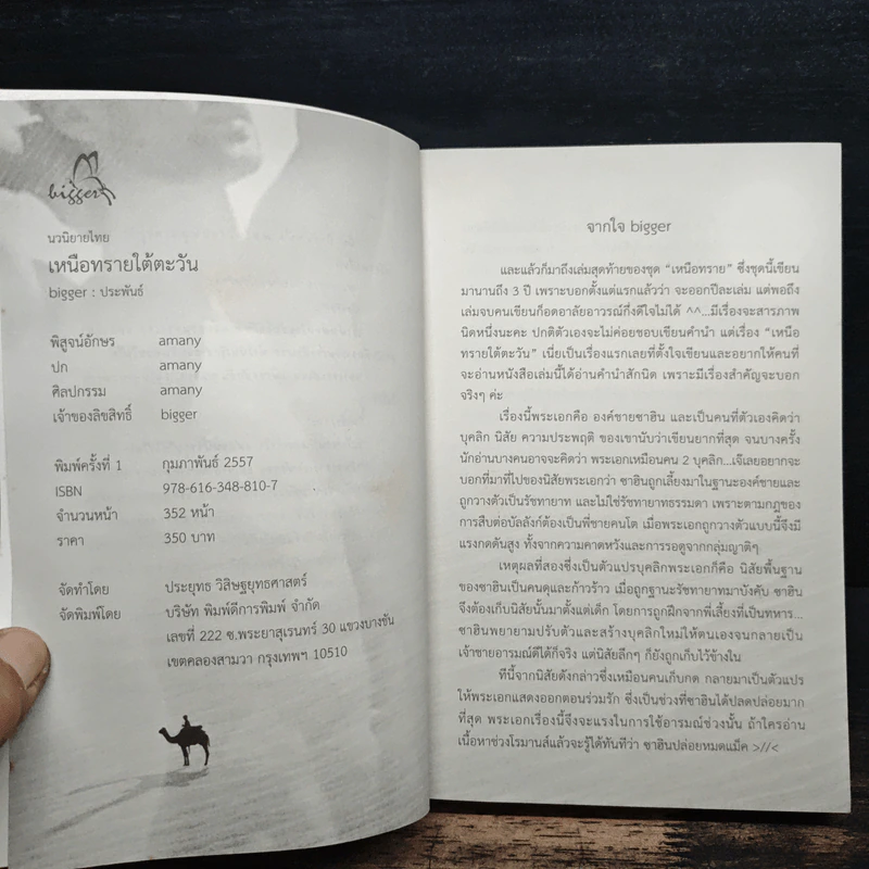 เหนือทรายใต้ตะวัน - bigger รูปที่ 6