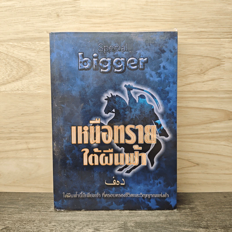 เหนือทรายใต้ผืนฟ้า - bigger รูปที่ 1