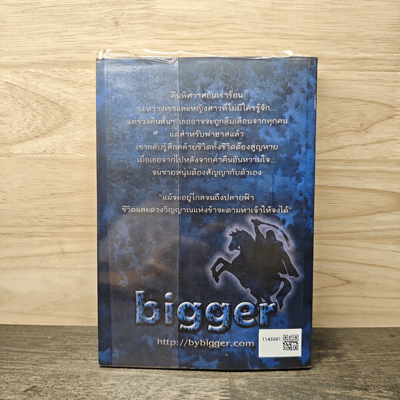 เหนือทรายใต้ผืนฟ้า - bigger รูปที่ 5