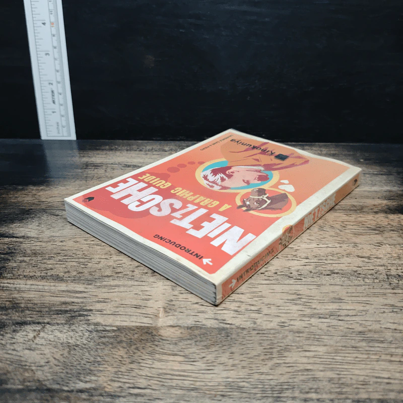 Introducing Nietzsche: A Graphic Guide - Laurence Gane, Piero Pierini รูปที่ 5