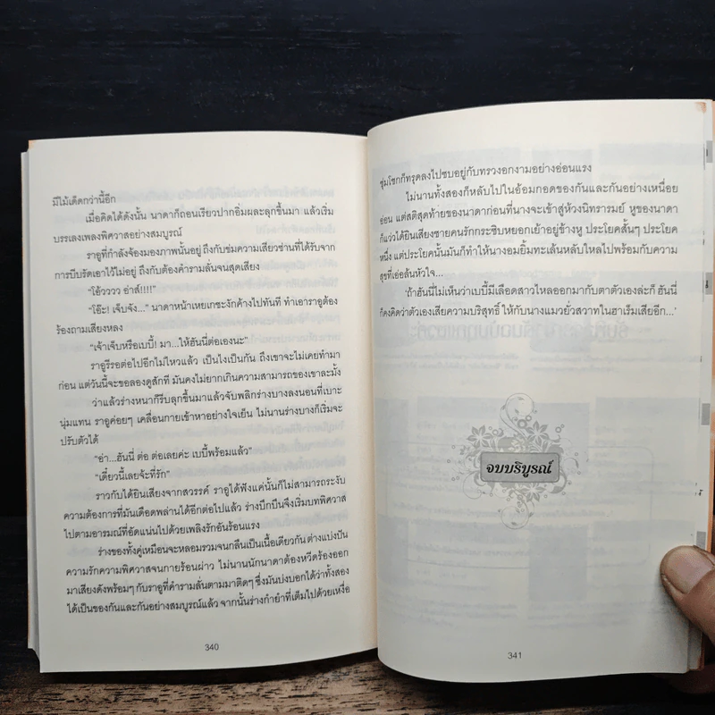 ชายานอกหัวใจ - มิ่งมาดา รูปที่ 8