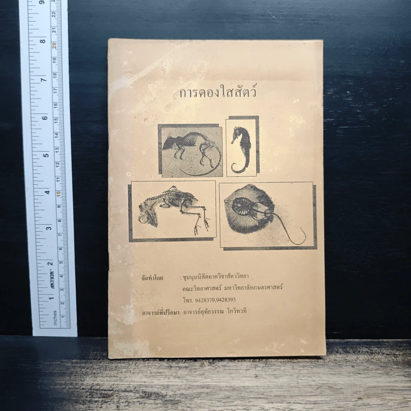 การดองใสสัตว์ รูปที่ 1